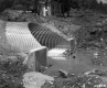 Drain Pipe