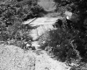 Small Wooden Bridge