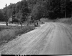 Dirt Road by Trees