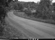 Dirt Road with Plants and Trees
