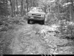 Truck on Forest Road
