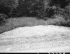 Gravel by Forest