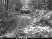 Truck on Forest Road