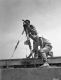 Construction Surveying