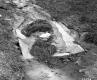 Storm Damage