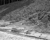 Storm Damage on Slope