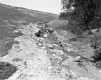 Storm Damage