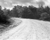 Dirt Road with Rocks