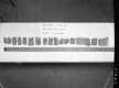 Soil Test in Bennington