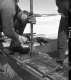 Sampling Lake Bottom Between Ticonderoga Creek, NY and Orwell, VT