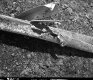 Crushed Guard Rail