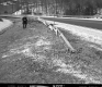 Crushed Guard Rail