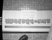 Soil Samples