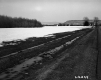Snowy Meadow