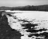 Snowy Field