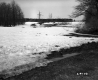 Snowy Field