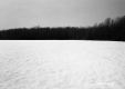 Snow Field