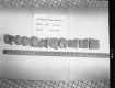 Soil Tests and Core Samples
