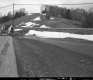 Chain Link Fence by Road