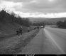 Students Picking up Trash on Barre Access Road