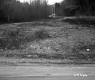 Grassland Plants and Unpaved Roads in Plymouth