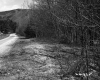 Rural Road in Plymouth with Dwelling 2