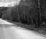 Rural Unpaved Road in Plymouth