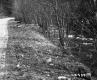 Unpaved Road with Parallel Stream in Plymouth
