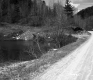 Small Pond Adjacent to Unpaved Road in Plymouth 2