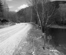 Small Pond Adjacent to Unpaved Road in Plymouth 3