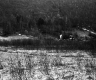 View of Hillside from Valley Floor in Plymouth