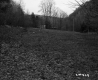 View of Buildings from Property of Yard in Plymouth