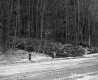 View of Stream From Unpaved Road in Plymouth