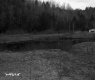 Small Pond in Plymouth