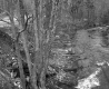 Stream and Road in Plymouth