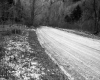 Dirt Road In Plymouth with Forest