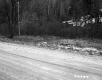 Dirt Road in Plymouth with Meadow and Forest