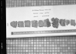 Core Samples at Materials Lab in Berlin