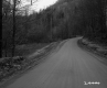 Curving Dirt Road in Plymouth, 2