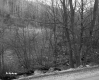 Stream by Road