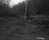 Electrical Pole and Grass