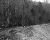 Stream by Dirt Road