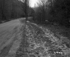 Grass by Road