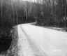 Stream by Dirt Road