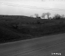 Grassy Hills