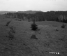 Grassy Hills
