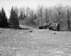Shed in Meadow