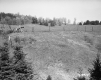 Grass Field with Fence