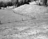 Fence in Grass Field