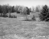 Grassy Field and Slopes